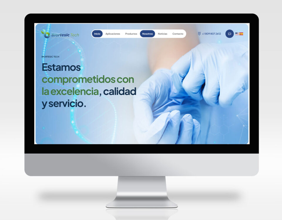 Desarrollo de paginas web en Santo domingo