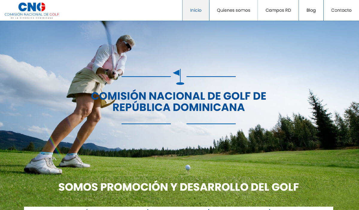 Pagina web en Santo Domingo