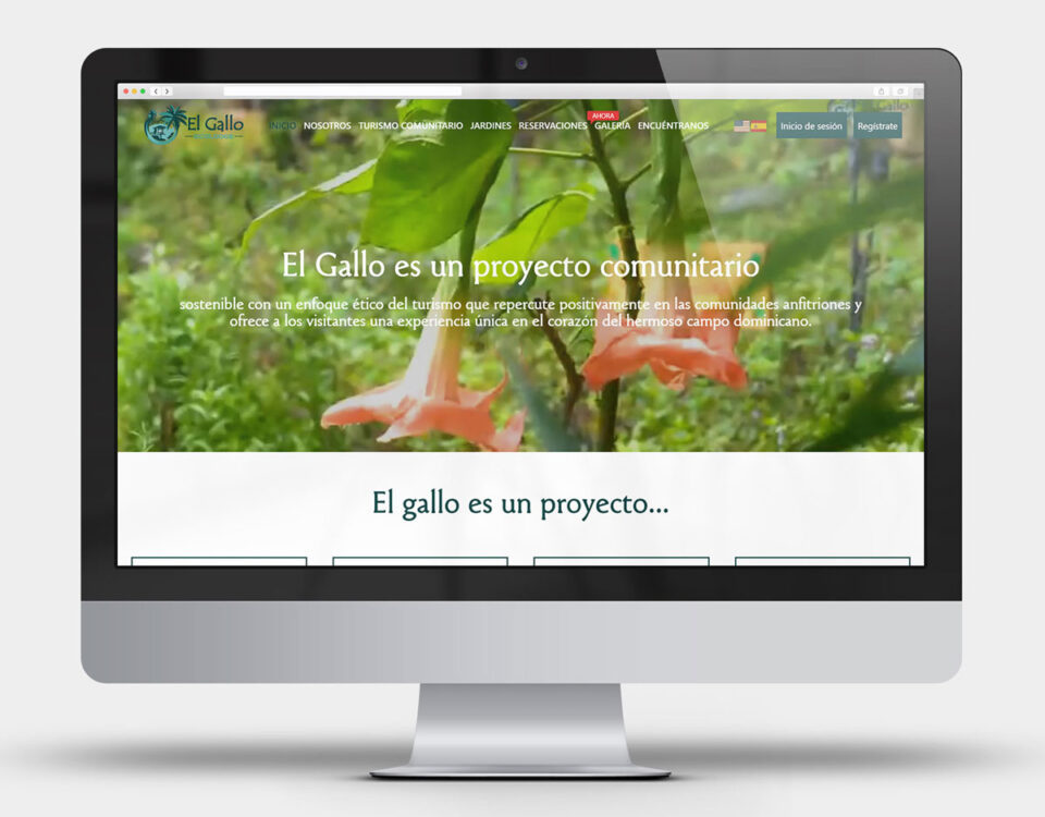 Diseño de páginas web en Santo Domingo