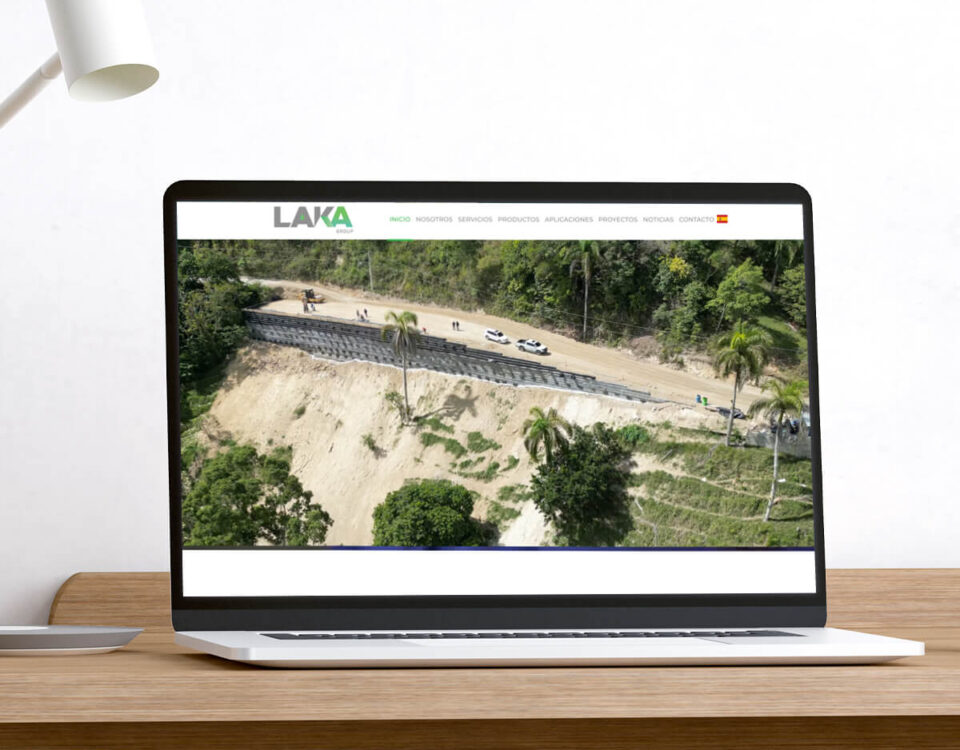 Desarrollo de paginas web en Santo Domingo