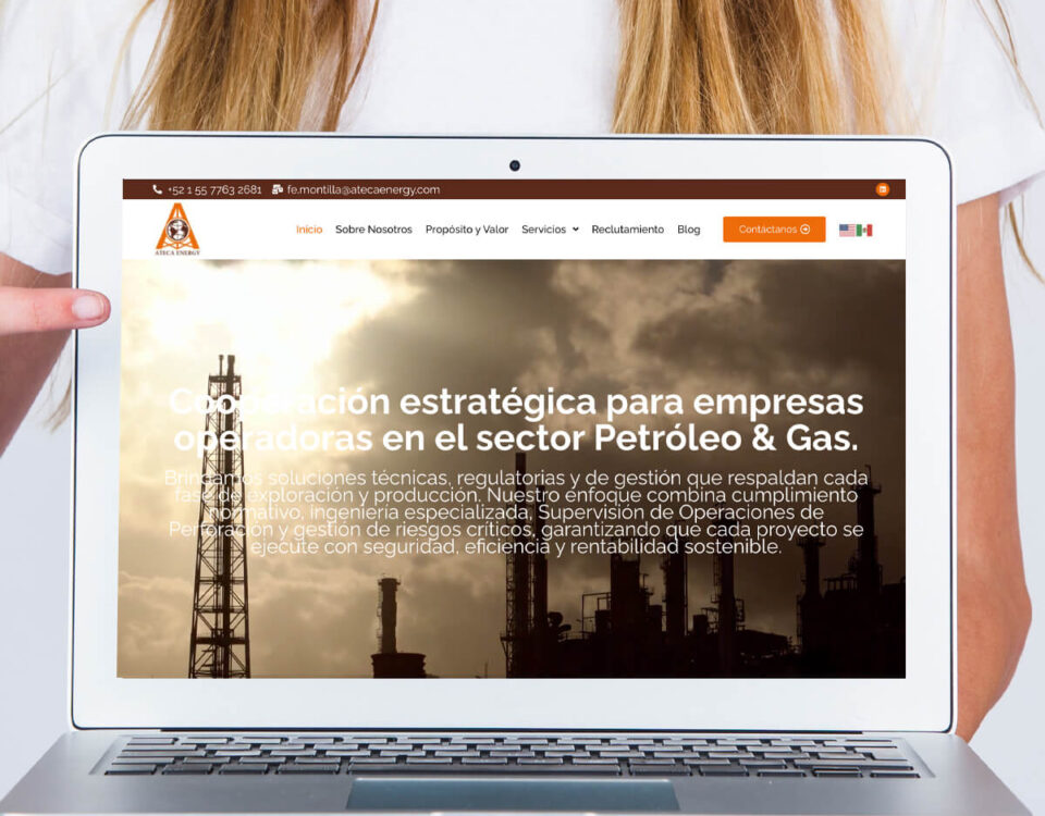 Desarrollo de paginas web en Mexico